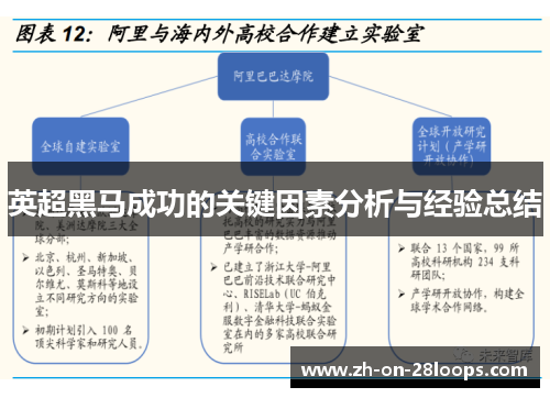 英超黑马成功的关键因素分析与经验总结